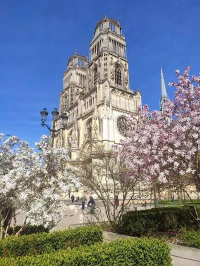 The Garden, Proche Bord De Loire Appartamento Orléans Esterno foto
